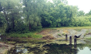 Экологические услуги от ПромМир-Грн в Горном-Алтайске - стоимость от 12442 руб.