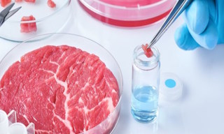 Лабораторный анализ пищевых продуктов по СанПиН в Горном-Алтайске в октябре