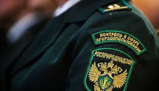 Подготовка к проверке Росприроднадзора в Горном-Алтайске от ПромМир, стоимость услуги от 20736 руб.